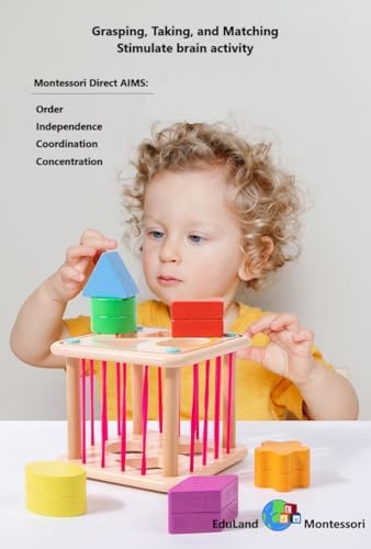 Practical Life Wooden Geometric Shape Shaker Match & Post/Push & Pull Toys for Toddlers 3-6 Years Old Montessori Infant Baby Toys Girls & Boys Blocks Baby Birthday Gift (Color A) - Image 2