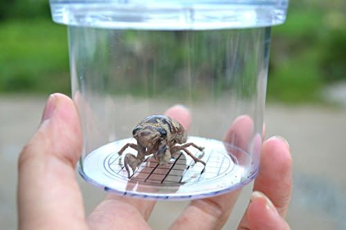 Critter Cage Magnifying Bug Reviewer Kid's Toy, Nature Exploration Toys Insect Magnifier Backyard Explorer (6 Packs) - Image 7