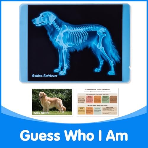 Pet Series Animal Xrays for Kids - Light Table Manipulatives - Image 7
