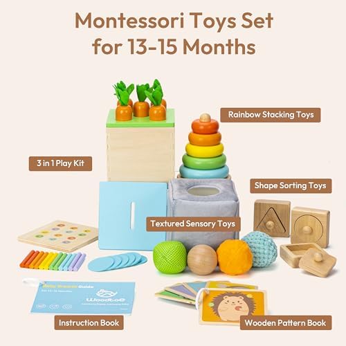 Woodtoe Montessori Toys for 1+ Year Old, Wooden Baby Learning Toys, Object Permanence Box, Color Sorting Sensory Toy, Fine Motor Skills Game, Educational Birthday Toys for Boy Girl 1 2 3 Year Old - Image 2