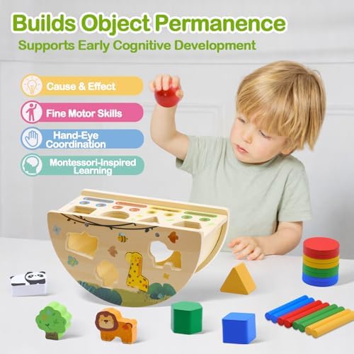 Montessori Busy Box for Toddlers 1-3, Wooden Object Permanence Coin Box with Shape Sorter & Animal Matching, Fine Motor Sensory Learning Toy with Wobble Base, Gift for 1 2 3 Year Old - Image 2