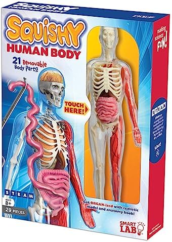SmartLab QPG Lab for Kids, Squishy Human Body, Grade 3-8 - Image 5