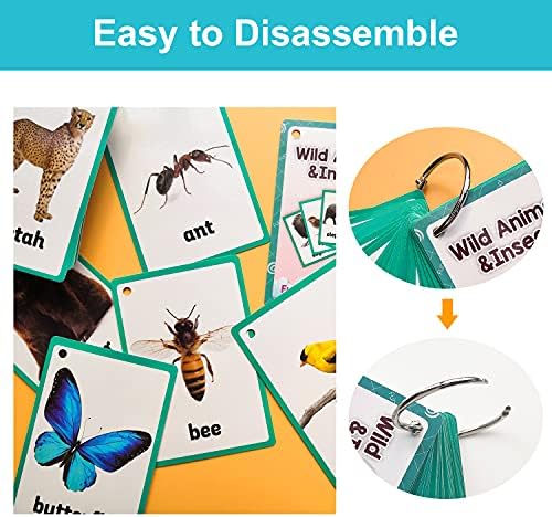 Lilias Wild Animals & Insects Flash Cards, Toddler Learning Toys, Preschool Learning Toys, Homeschool Supplies, Learning Supplies for Kindergarten, 4.3 X 3.14 Inch, 48 Cards in Set - Image 4