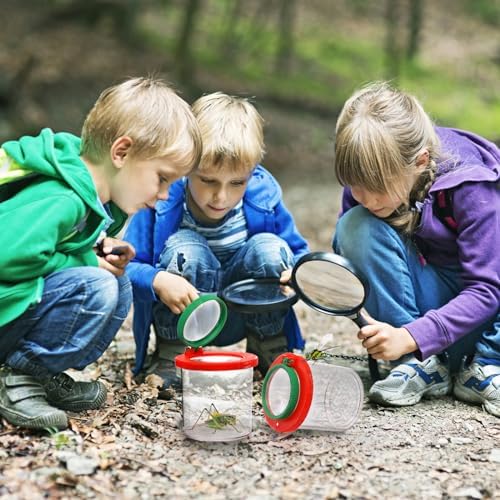 Coloch Set of 10 Insert Bug Viewer for Kids, Magnifying Insect Box, Bug Magnifier Container Critter Insect Bug Cage Bug Jar Bug Viewer Collecting Kit Bug Catcher Set - Image 7