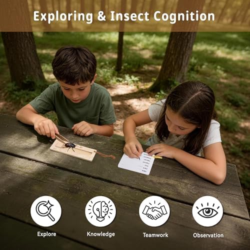 Wooden Bug Catching Kit for Kids - 10 PCS Outdoor Exploration Set with Bug Habitat, Magnifying Glass, Bug Container &Other Adventure Kit —STEM Educational Toy for Boys & Girls Ages 4-8 - Image 6
