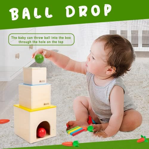 Adena Montessori 6 in 1 Play Kit Toy- 3 Nesting & Stacking Boxes, Object Permanence Drop Game, Coin Box, Carrot Harvest,Tissue Box,Sticks Matching Game for 6-12 Months 1 Year Old Toddlers 2 Year - Image 2