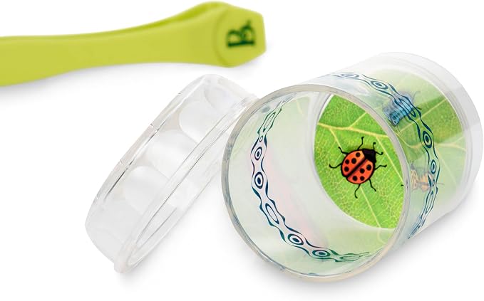 B. toys Bug Bungalow Bug Catching Kit with Mesh Bug House Case, Summer - Image 8