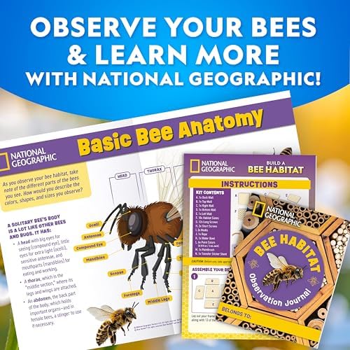National Geographic Build a Bee Habitat Nature Craft Kit for Kids - Image 6