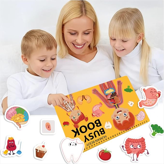 Human Body Anatomy Educational Workbook – Early Learning Materials, 1 Pcs (Orange) - Image 6