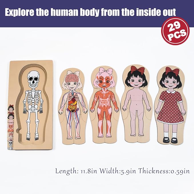 My Body Parts Puzzle for Toddlers Kids African Girl Montessori Wooden Anatomy Puzzle 3-6 Years Old Preschool Learning Game Human Body Cognitive Toys - Image 7
