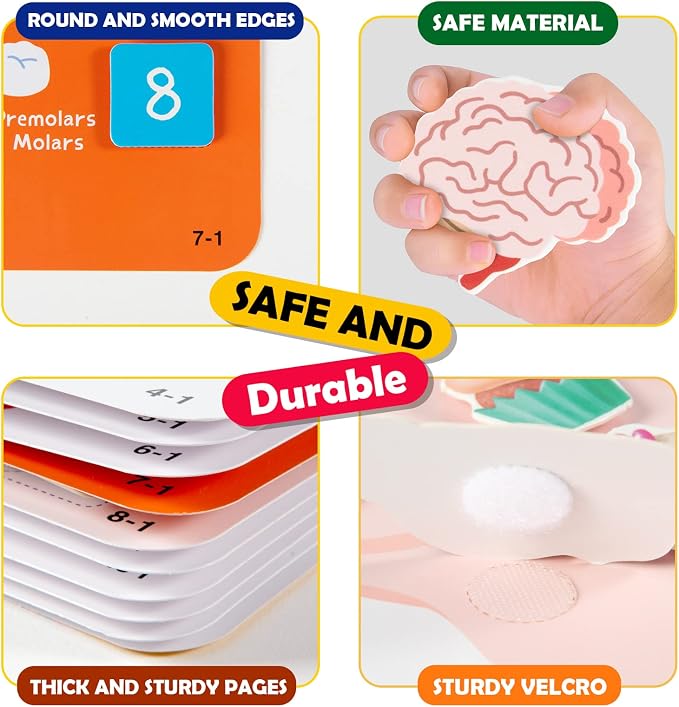 Freebear Montessori Busy Book for Kids, Human Body Anatomy Book for Toddlers, Preshool Kindergarten Learning Activities, Autism Sensory Toys, Travel Toys, Gifts for Girls and Boys 4 5 6 7 8 Years - Image 7