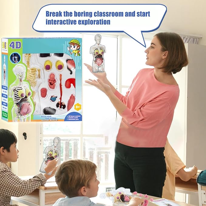 Human Body Model for Kids | Pregnancy Skeleton Model Toy | Anatomical Assembly Educational Toys for Children Classroom Students Learning Enthusiasts Preschool - Image 9