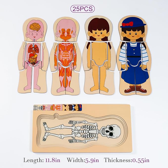 My Body Parts Wooden Anatomy Puzzle, Preschool Learning Human Body Skeleton Toy for Boys and Girls 3-8 Years Old - Image 7