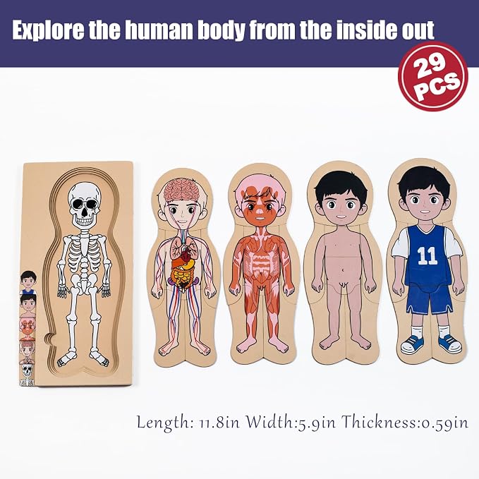 My Body Parts Puzzle for Toddlers Kids Girls Boys Montessori Wooden Anatomy Puzzle 3-6 Years Old Preschool Learning Game Human Body Cognitive Toys - Image 6