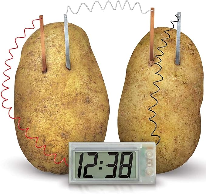 4M: Green Science: Potato Clock - DIY & Experience Battery-Free Renewable Energy, Power A Digital Clock, STEM Learning Craft Activity Kit, Kids Age 5+ - Image 4