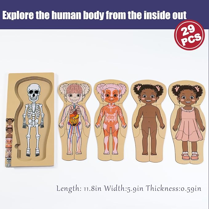 My Body Parts Puzzle for Toddlers Kids African Girl Montessori Wooden Anatomy Puzzle 3-5 Years Old Preschool Learning Game Human Body Cognitive Toys - Image 6