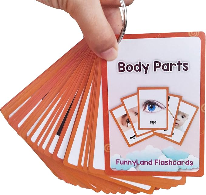 34PCS/Set Body Parts Kids Gifts English Flash Cards Pocket Card Educational Learning Baby Toys for Children Pre-Kindergarten - Image 7