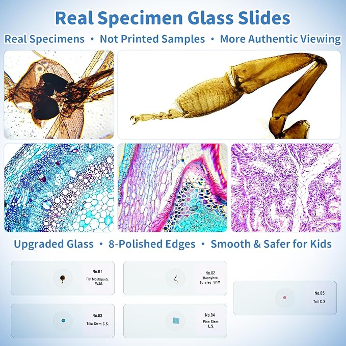 Kids Digital Microscope Science Gift: Complete STEM Toy Kit for Ages 4-12 - Image 9
