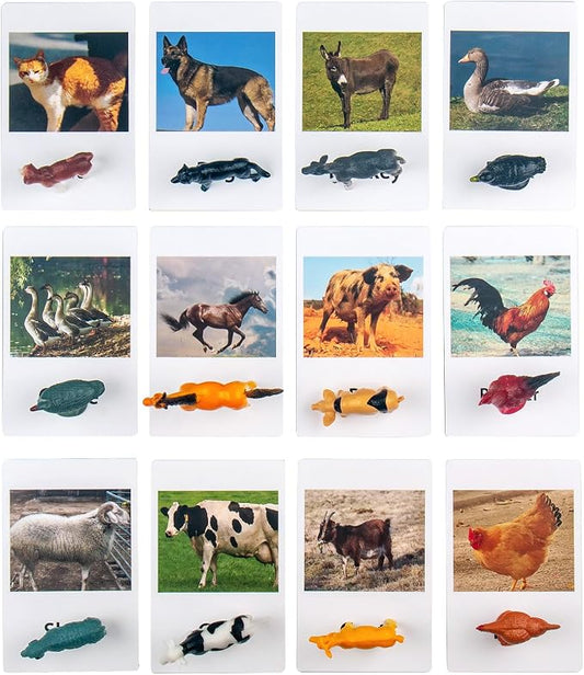 MEROCO Non Identical Matching Cards Poultry Animals Kids Preschool - Image 2