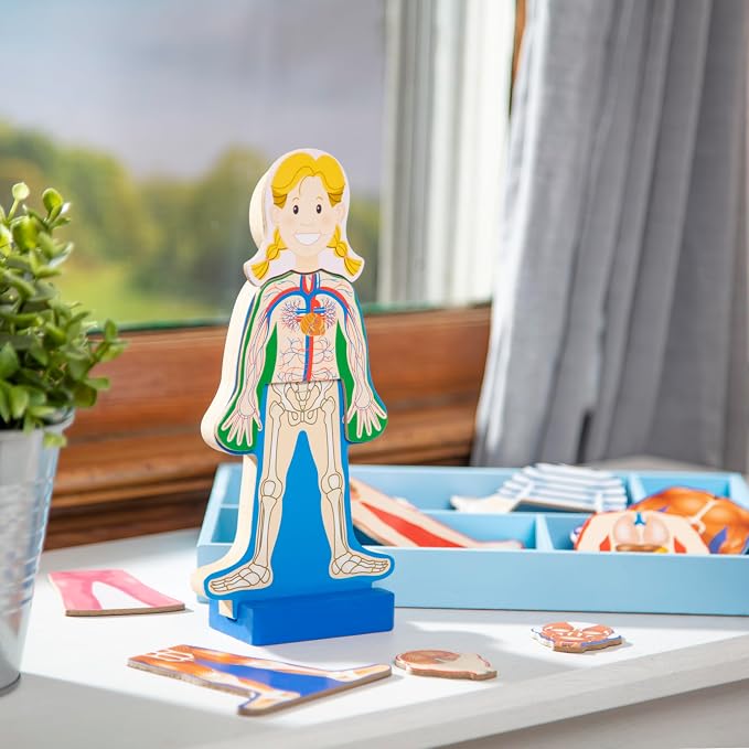 Melissa & Doug Magnetic Human Body Anatomy Play Set with 24 Magnetic Pieces and Storage Tray - Image 10