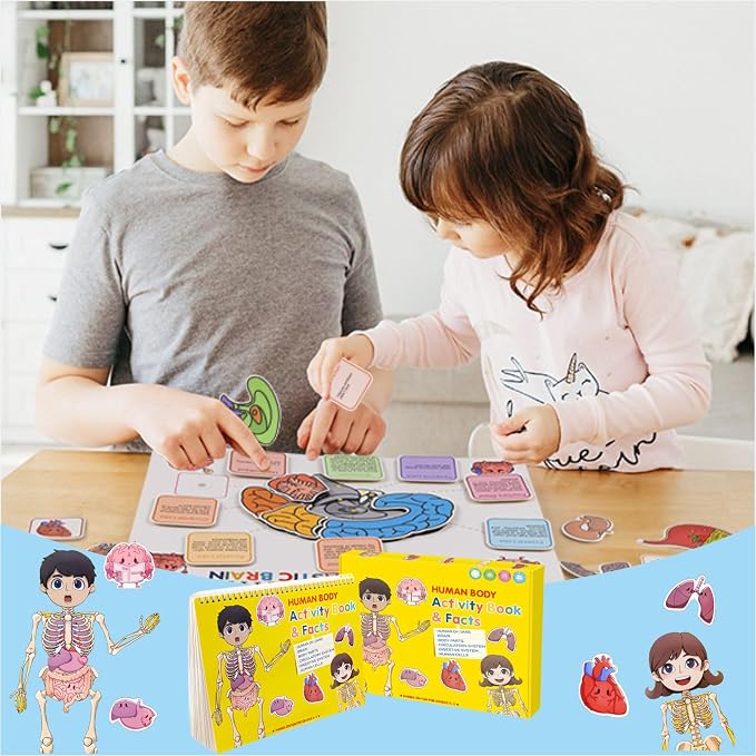 Human Body Anatomy Educational Workbook – Early Learning Materials, 1 Pcs (Yellow) - Image 6