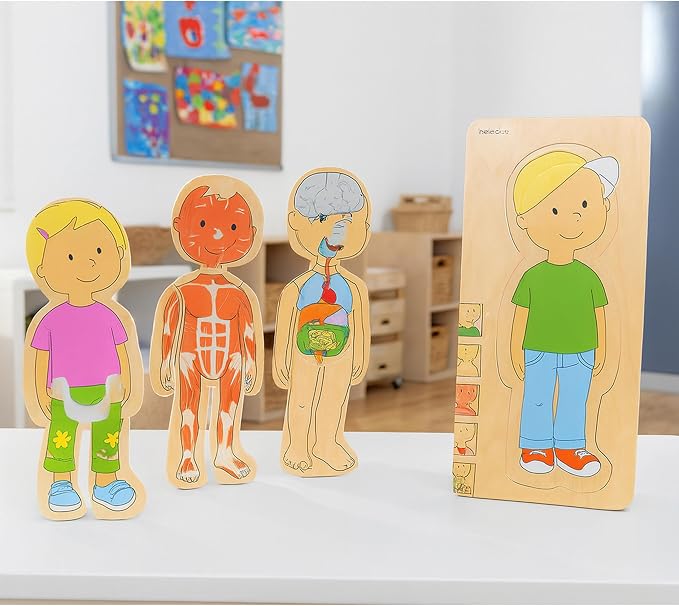 Anatomy Layered Wooden Puzzles – Boy & Girl Set, 5 Layers, Human Body Learning for Ages 4+ - Image 4