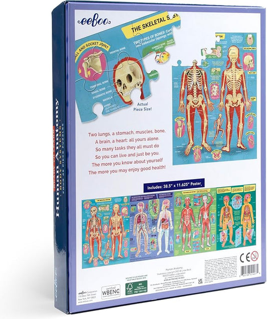eeBoo Human Anatomy 48 Giant Piece Children's Puzzle, Four 12 PC Puzzles - Image 2