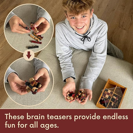 Wooden Brain Teaser Puzzles 6 Pack - 3D Brain Teasers for Adults & Kids - Educational and Fun Gift Ideas - Mind Puzzles by LMC Products