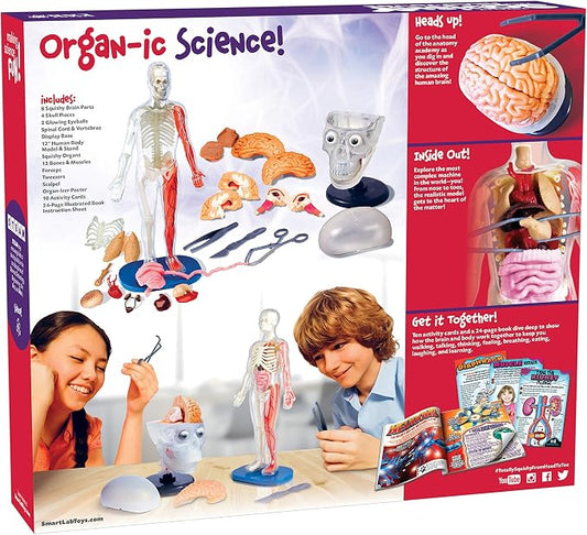 SMARTLAB Toys Totally Squishy from Head-to-Toe - 60 Pieces - 36 Removable Parts - 12" Human Body Model & Stand - 24-Page Illustrated Book - Includes Glowing Eyeballs! - Image 2