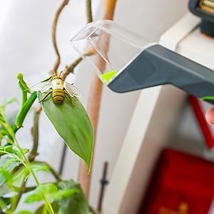 Humane Bug Catcher, Live Insect Catching Tool, Touchless Spider Catcher with Sliding Door, Safe Insect Observation Tool for Home & Garden - Image 7