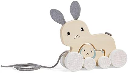 Bigjigs Toys FSC® Certified Bunny & Baby Pull Along Toy - Eco-Friendly Rabbit Pull Along with Cord & Baby Bunny Push-Along, Quality Pull Along Toys for 1 Year Olds, Wooden Baby Toys by Bigjigs+Toys