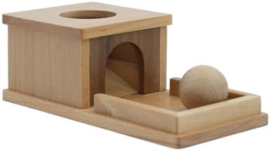 Montessori Permanent Target Box with Tray & Ball, Fine Motor & Hand-Eye Coordination Toy for Toddlers 8 Months+ by Unknown