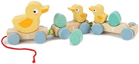 Tender Leaf Toys - Pull Along Ducks - Classic Wooden Pull Along Toy - 9pc Duck Family Set with 1 Mother Duck, 2 Baby Ducks, 3 Eggs and 3 Cars - Encourages Number Learning - 18Mths+ by TenderLeaf