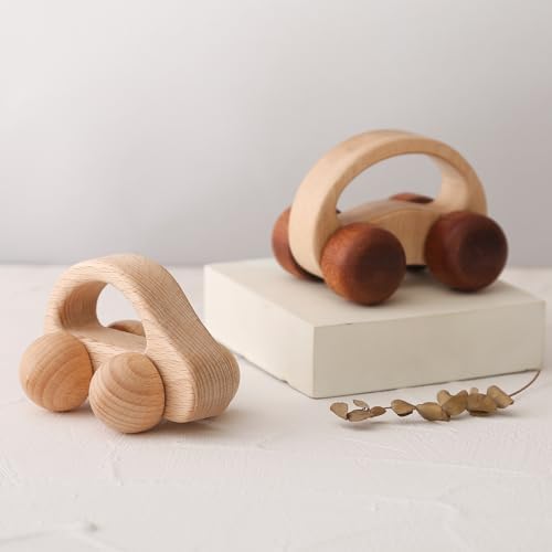 Wooden Baby Car Toys,Wood Push Car for Toddler Montessori Baby Grip Toy Car,Gifts for Boys and Girls,Push and Pull Toy Car 2 Pieces by Chriswell