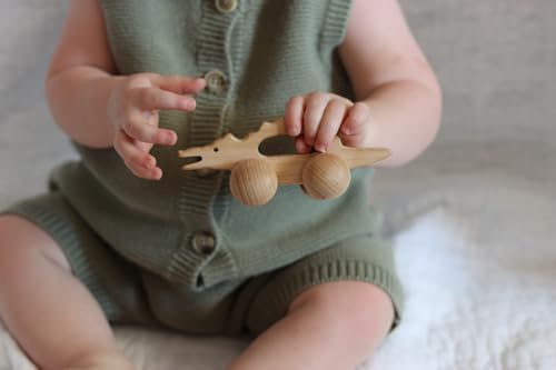 Adventure Awaits! Wooden Animal Rattle Toy Set for Toddlers & Preschoolers | Horse & Alligator Crocodile Wheeled Push and Pull Car 2 Pack - Image 2