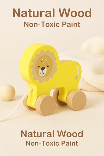Wooden Pull Toy Push and Pull Lion Pull Along Walking Toy for Baby Toddler - Image 3
