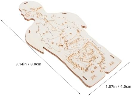 3pcs Human Body Model Wooden Puzzle, Science Kit for Cognitive Education and Collaborative Learning, Beige Color, for Family Playtime and Home Use - Image 2