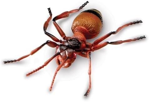 Learning Resources Jumbo Insects - Image 6