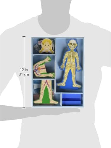 Melissa & Doug Magnetic Human Body Anatomy Play Set with 24 Magnetic Pieces and Storage Tray - Image 3