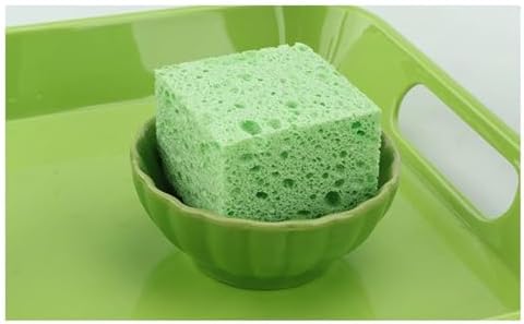Montessori Plant Watering Work Set, Care for Plants, Cultivate Life Skills - Image 5