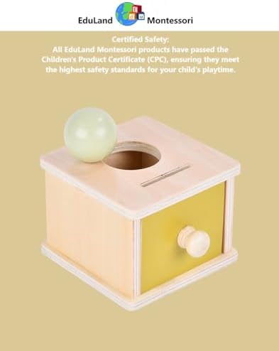 Practical Life Piggy Bank Math Coin & Ball Dropping/Posting Push/Pull Toy Sorting Game Box Pincer Grasp Toy Infant/Toddler/Primary Classrrom Educational Object Permanence 3-6 Years - Image 6