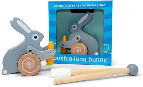 Jack Rabbit Creations Bunny Push Toy - Wooden for Motor Skills - Ages 1-3 by Jackrabbit