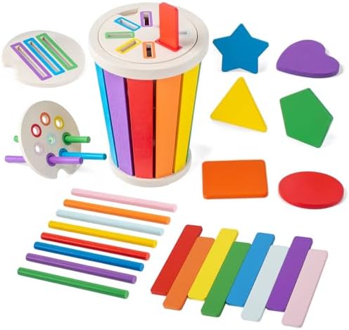 Montessori Wooden Color Sorting Toys for Toddlers 1-3 by LearnfromPlay