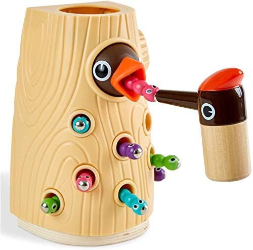 TOP BRIGHT Montessori Toys for 2 Year Old Gift, Magnetic Bird Feeding Game by TOPBRIGHT