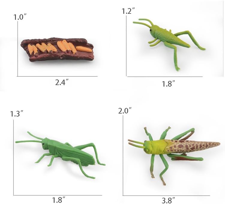 Montessori Life Cycle Animal Figures with Flash Cards, Realistic Animal Figurines Toy, and Educational Matching Game for Kids(Mantis, Locust, Dragonfly) - Image 4
