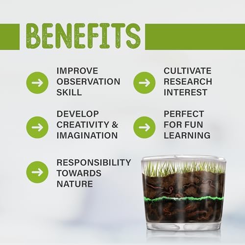 Worm Farm for Kids Kit with 20 Live Composting Worms, All-in-One Bundle - Image 7
