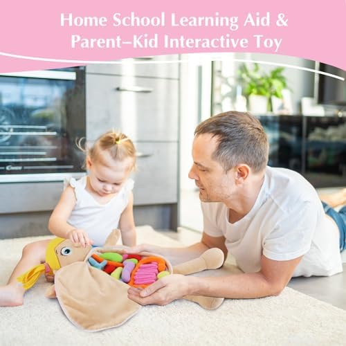 vocheer Human Body Anatomy Toy, Montessori Preschool Educational Organ Plush Toys for Kids, Science Learning Kits for Student, Body Organ Awareness Teaching Tools for Girls - Image 3