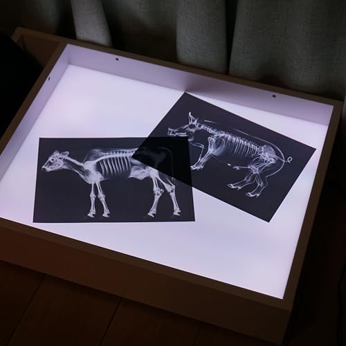 Animal X-Ray Set, Educational Science Kit, Light Table Accessory for Children (Farm Animals) - Image 4