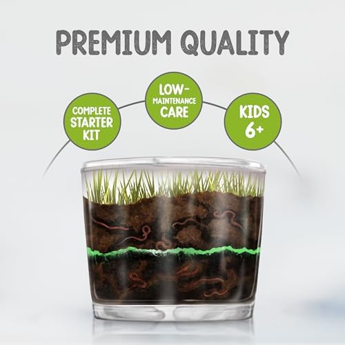 Worm Farm for Kids with 20 Live Worms and Food, All-in-One Ecosystem Bundle - Image 6