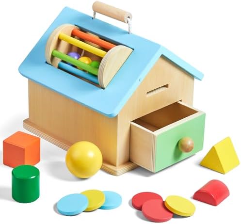 Montessori Toys for 1 2 3 Years Old Boys and Girls 5 in 1 Wooden Baby Drop Toys,Woode Shape Sorting and Stacking Learning Toys for Toddlers Wooden Toy for Kids Age 12 Months Gift for Kids by Toywoo